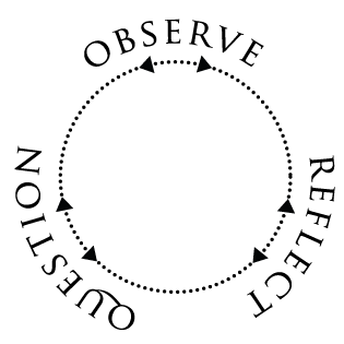observe reflect question