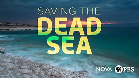 saving the dead sea