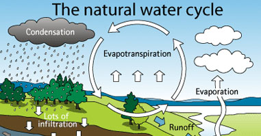 water cycle
