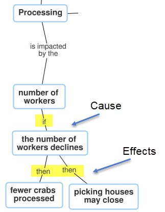  Partial Concept Map Diagram with nodes that connect to say processing is impacted by the number of workers if the number of workers declines then fewer crabs processed and picking houses may close. An arrow labeled cause points to the number of workers declines, and an arrow labeled effects points to fewer crabs processed and picking houses may close