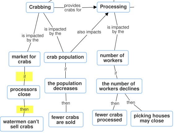 Partial Concept Map Diagram with previous sections and  nodes that connect to say crabbing is impacted by the market for crabs if processors close then watermen can’t sell crabs
